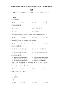 河南省洛阳市宜阳县2023-2024学年七年级上学期期末数学试题(含答案)