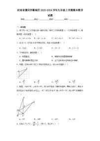 河南省漯河市郾城区2023-2024学年九年级上学期期末数学试题(含答案)