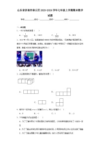 山东省济南市章丘区2023-2024学年七年级上学期期末数学试题(含答案)