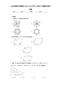 山东省潍坊市潍城区2023-2024学年八年级上学期期末数学试题(含答案)