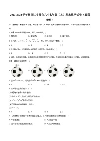 68，黑龙江省绥化市第八中学校2023-2024学年七年级上学期期末数学试卷（五四学制）