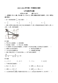 山东省聊城市东阿县2023-2024学年七年级上学期期末数学试题