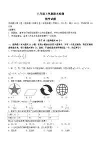 山东省泰安市新泰市2023-2024学年八年级上学期期末数学试题