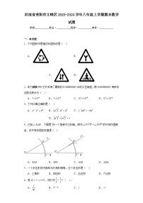 河南省安阳市文峰区2023-2024学年八年级上学期期末数学试题