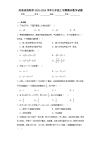 河南省洛阳市2023-2024学年九年级上学期期末数学试题