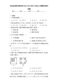 河南省洛阳市新安县2023-2024学年八年级上学期期末数学试题