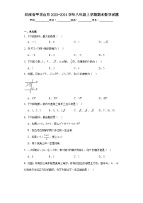 河南省平顶山市2023-2024学年八年级上学期期末数学试题