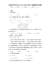 河南省平顶山市2023-2024学年七年级上学期期末数学试题