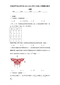 河南省平顶山市叶县2023-2024学年八年级上学期期末数学试题