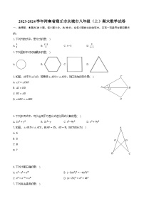 河南省商丘市永城市2023-2024学年八年级上学期期末数学试卷+