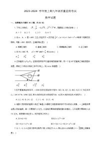 河南省驻马店市新蔡县2023-2024学年上学期九年级质量监测数学试卷+