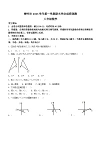 浙江省绍兴市嵊州市2023-2024学年八年级上学期期末数学试题