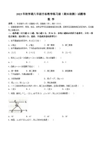 广西壮族自治区梧州市苍梧县2023-2024学年八年级上学期期末数学试题