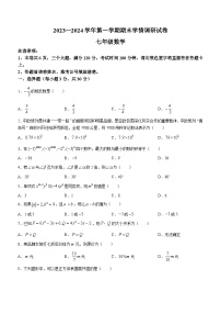 河南省周口市郸城县2023-2024学年七年级上学期期末数学试题