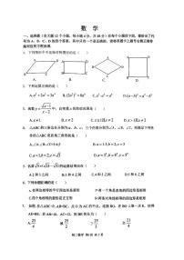 重庆市巴蜀中学校2023-2024学年八年级数学下学期入学测试卷