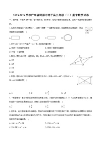 2023-2024学年广东省河源市连平县九年级（上）期末数学试卷（含解析）