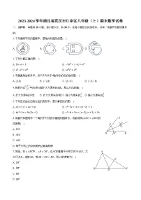 2023-2024学年湖北省武汉市江岸区八年级（上）期末数学试卷（含解析）