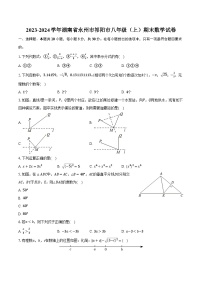 2023-2024学年湖南省永州市祁阳市八年级（上）期末数学试卷（含解析）