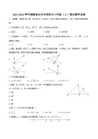 2023-2024学年湖南省永州市祁阳市八年级（上）期末数学试卷（含解析）