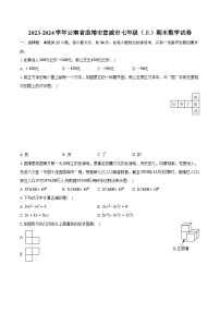 +云南省曲靖市宣威市2023—2024学年上学期七年级期末数学试卷