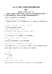 湖南省娄底市新化县2023-2024学年八年级上学期期末数学试题