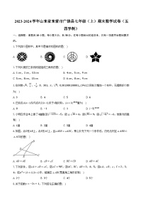 山东省东营市广饶县2023—-2024学年上学期七年级期末数学试卷（五四学制）