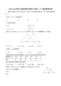 山东省菏泽市曹县2023—2024学年上学期八年级期末数学试卷