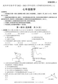 陕西省咸阳市实验中学2022-—2023学年七年级下学期阶段检测（月考）（三）数学试题