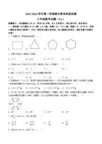 河北省保定市高阳县2023-2024学年八年级上学期期末数学试题