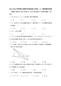 浙江省温州市苍南县2023—-2024学年上学期七年级期末数学试卷