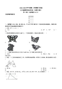 41，陕西省咸阳市永寿县蒿店中学等校联考2022-2023学年七年级下学期第三次月考数学试题()