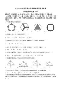 河北省保定市高阳县2023-2024学年九年级上学期期末数学试题