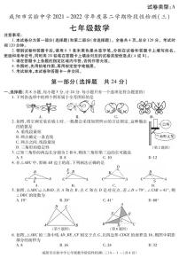 陕西省咸阳市实验中学2021-2022学年七年级下学期阶段检测（月考）（三）数学试题