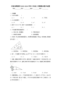 河南省鹤壁市2023-2024学年八年级上学期期末数学试题