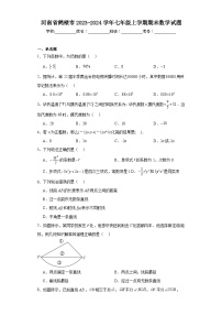 河南省鹤壁市2023-2024学年七年级上学期期末数学试题