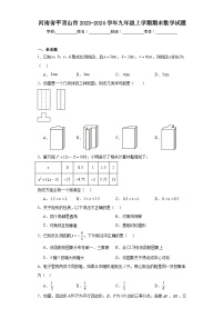 河南省平顶山市2023-2024学年九年级上学期期末数学试题