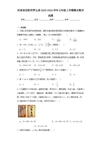 河南省信阳市罗山县2023-2024学年七年级上学期期末数学试题(含答案)