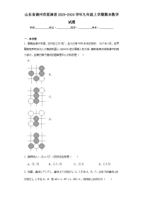 山东省德州市夏津县2023-2024学年九年级上学期期末数学试题(含答案)