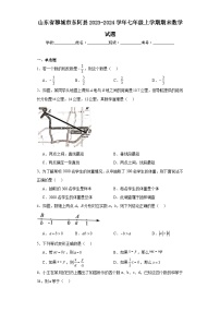 山东省聊城市东阿县2023-2024学年七年级上学期期末数学试题(含答案)