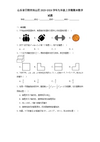 山东省日照市岚山区2023-2024学年九年级上学期期末数学试题(含答案)