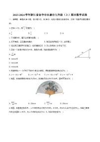 2023-2024学年浙江省金华市永康市九年级（上）期末数学试卷（含解析）