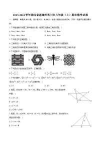 2023-2024学年湖北省恩施州利川市八年级（上）期末数学试卷（含解析）