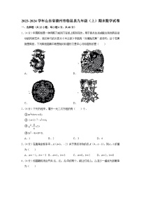 +山东省德州市临邑县2023-2024学年九年级上学期期末数学试卷