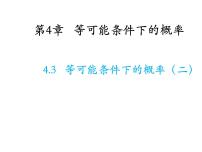 数学九年级上册4.3  等可能条件下的概率（二）教学ppt课件
