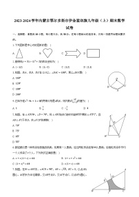 2023-2024学年内蒙古鄂尔多斯市伊金霍洛旗九年级（上）期末数学试卷（含解析）