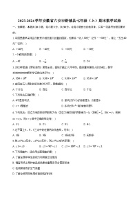 2023-2024学年安徽省六安市舒城县七年级（上）期末数学试卷（含解析）