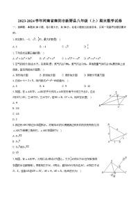 2023-2024学年河南省南阳市新野县八年级（上）期末数学试卷（含解析）