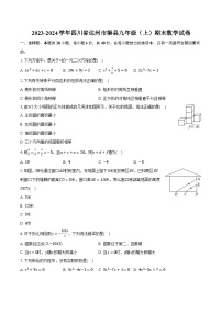 2023-2024学年四川省达州市渠县九年级（上）期末数学试卷（含解析）