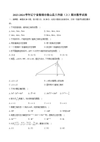 2023-2024学年辽宁省盘锦市盘山县八年级（上）期末数学试卷（含解析）