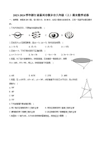 2023-2024学年浙江省嘉兴市桐乡市八年级（上）期末数学试卷（含解析）